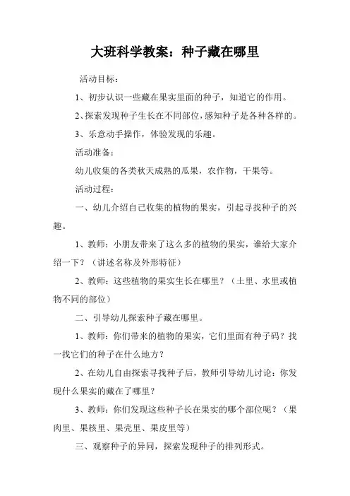 大班科学教案：种子藏在哪里