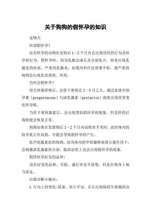 关于狗狗的假怀孕的知识