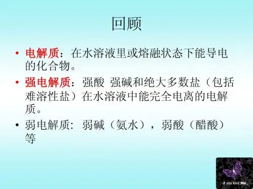 离子反应11