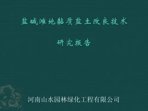 盐碱滩地黏质盐土改良技术PPT(修改)