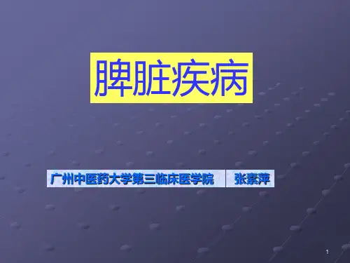 脾脏疾病PPT课件