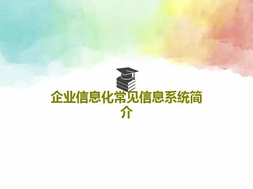 企业信息化常见信息系统简介共25页