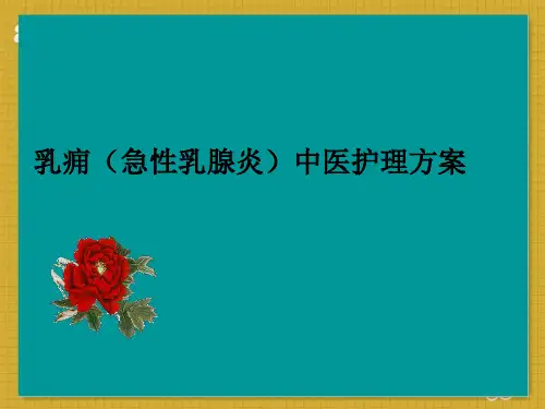 乳痈(急性乳腺炎)中医护理方案ppt课件