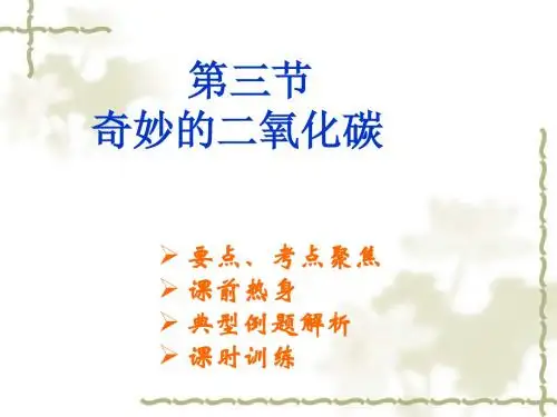 化学：2.3《奇妙的二氧化碳》课件(1)(沪教版九年级上)