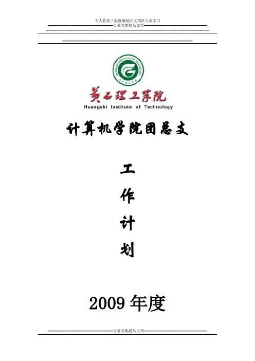 2009年全年团总支工作计划