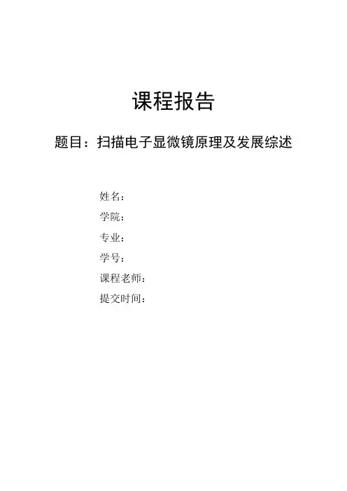 扫描电子显微镜原理及发展综述