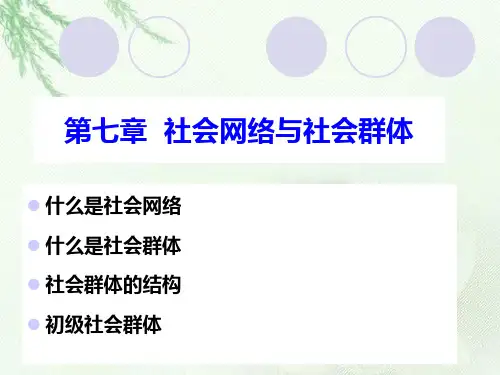 社会网络与社会群体