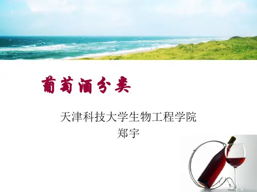 葡萄酒的分类