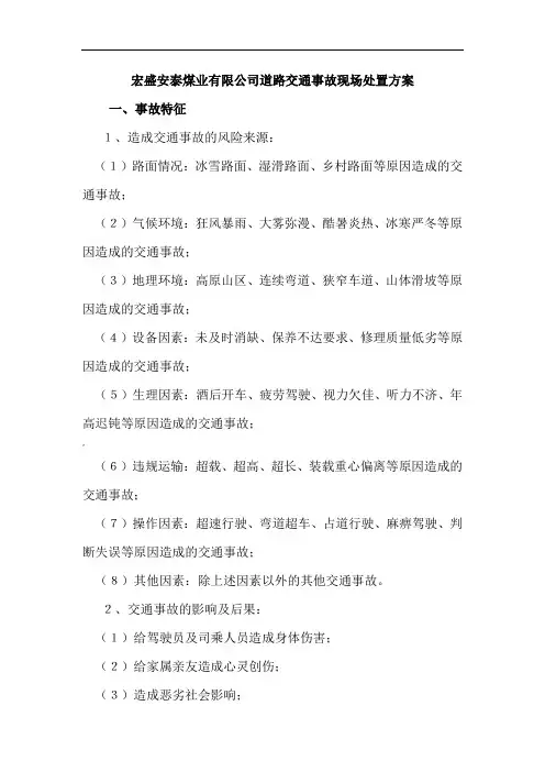 道路交通现场处置方案