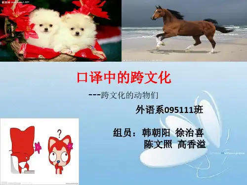 4-跨文化翻译-动物