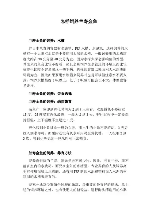怎样饲养兰寿金鱼