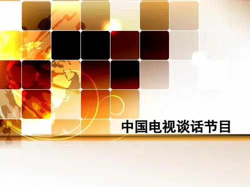 中国电视谈话节目(详细版)