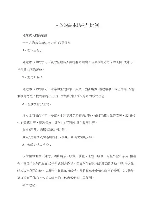 人体的基本结构与比例