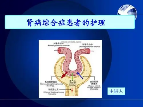 肾病综合症的护理LQ