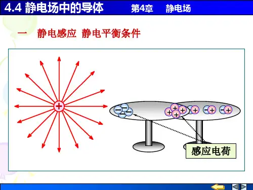 应用物理(电子信息) 4.4静电场中的导体