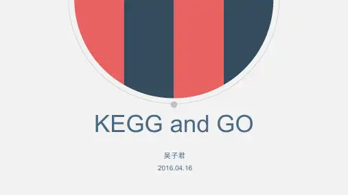 KEGG and GO