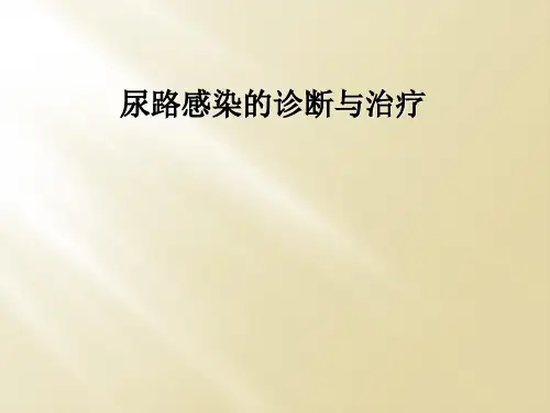 尿路感染的诊断与治疗