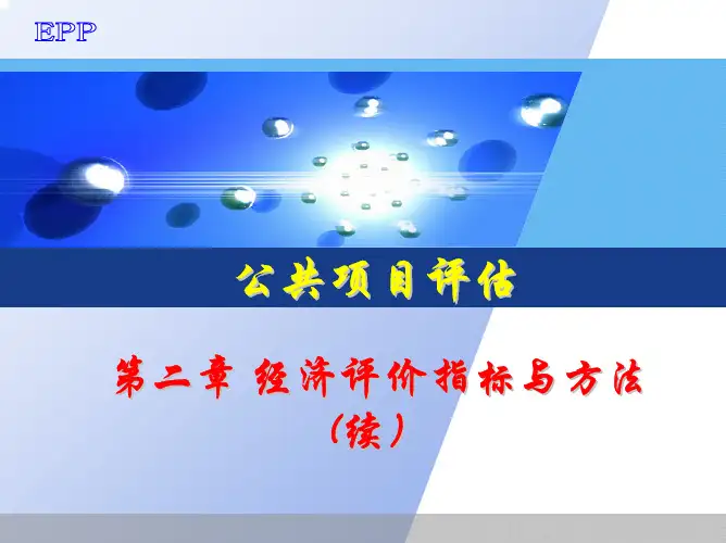 公共项目评估第二章课件2