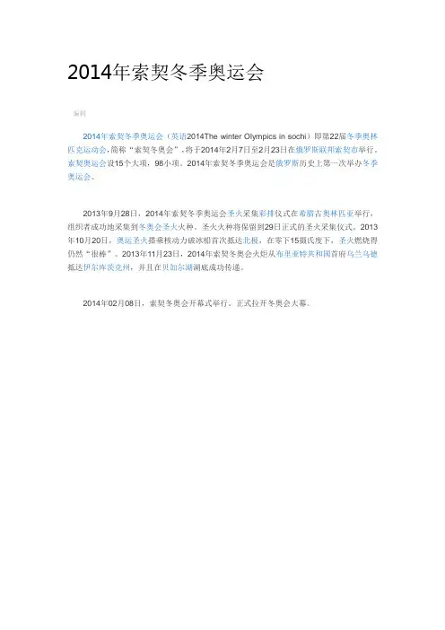 2014年索契冬季奥运会