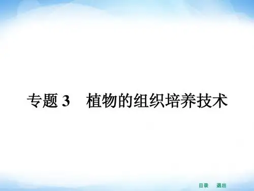 高中生物课件3.1 菊花的组织培养