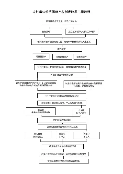 农村集体经济组织产权制度改革工作流程