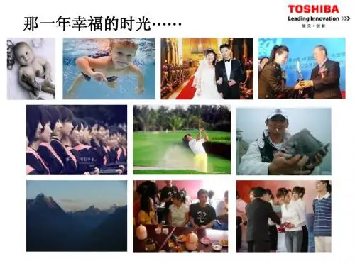 TOSHIBA Camileo产品简介