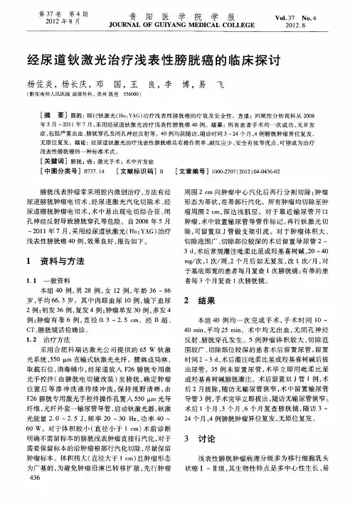 经尿道钬激光治疗浅表性膀胱癌的临床探讨