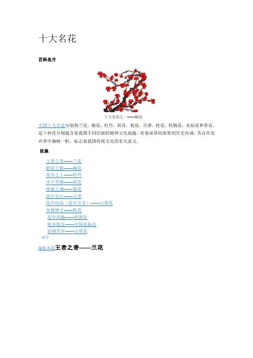 中国十大名花 2