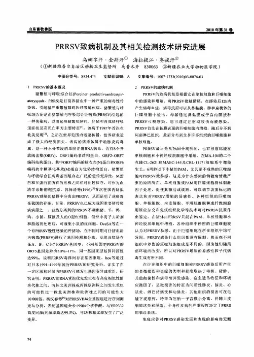 PRRSV致病机制及其相关检测技术研究进展