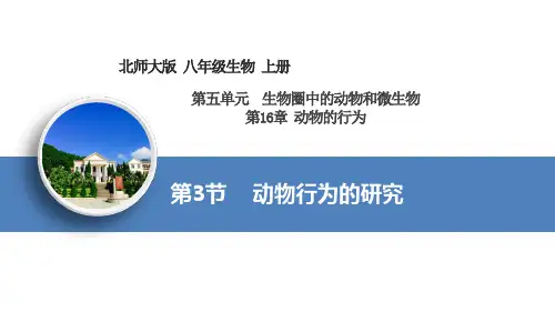 16.3动物行为的研究