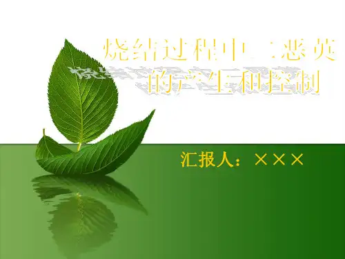 烧结工艺中二恶英的控制