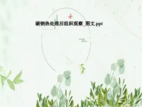 碳钢热处理后组织观察_图文