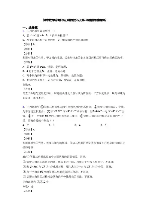 初中数学命题与证明的技巧及练习题附答案解析