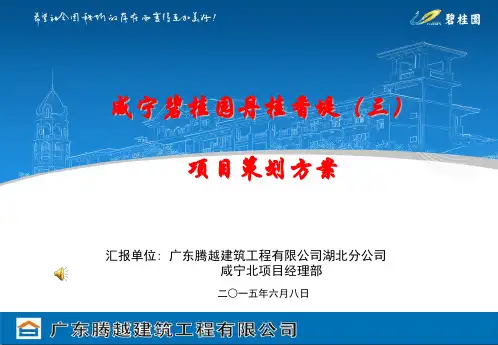 咸宁碧桂园丹桂香堤三工程项目策划方案201567
