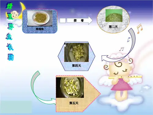 7.作四写一则观察日记1