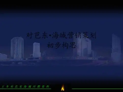 海城芭东地产运营管理初步构思