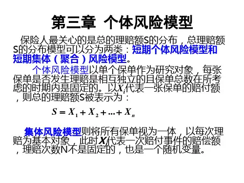 第3章   个体风险模型
