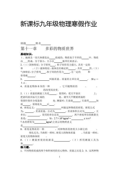 新课标九年级物理寒假作业 p9(23)