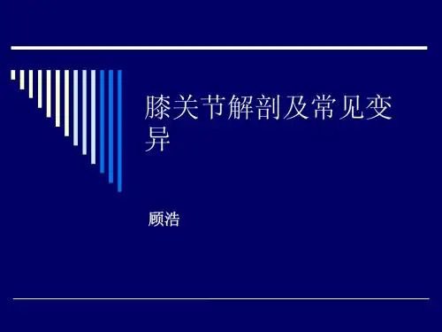 1-膝关节病变