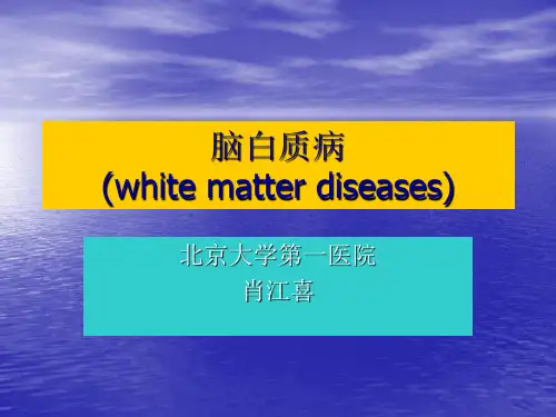 脑白质病