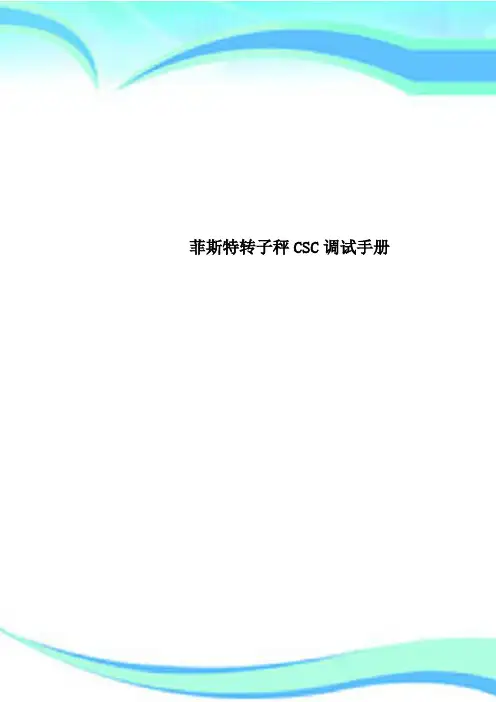 菲斯特转子秤CSC调试手册