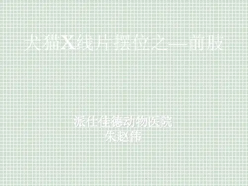 犬猫X线摆位--前肢