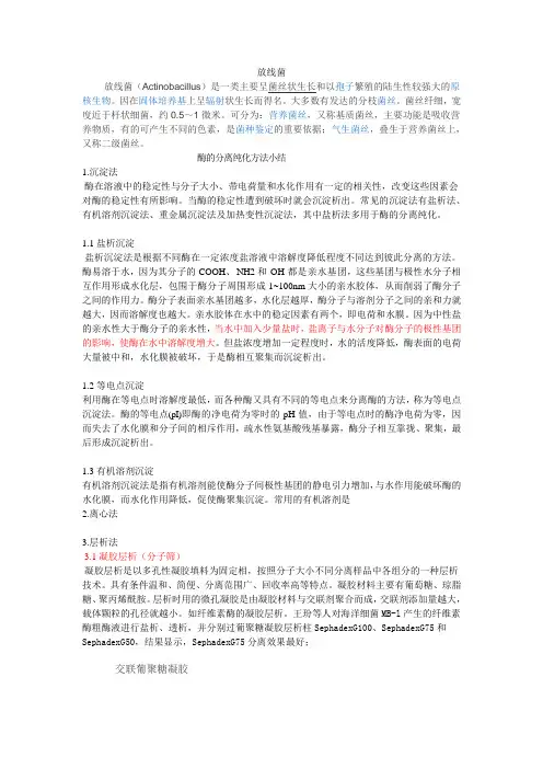 放线菌 2