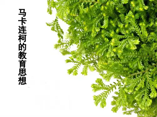 马卡连柯