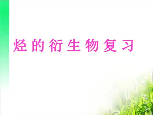 烃的衍生物复习课