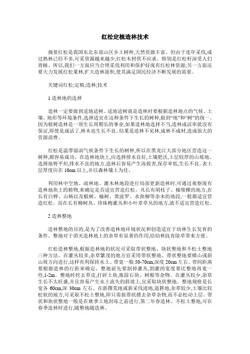 红松定植造林技术