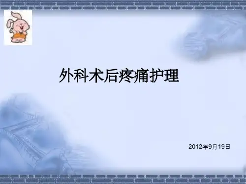 《外科术后疼痛护理》PPT课件