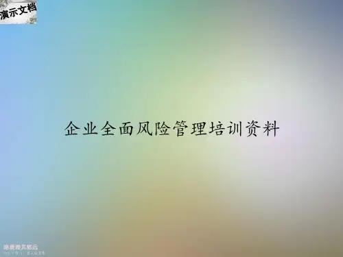 企业全面风险管理培训资料