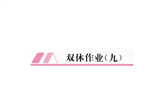 2018-2019学年九年级人教版化学下册课件:双休作业(9) (共15张PPT)