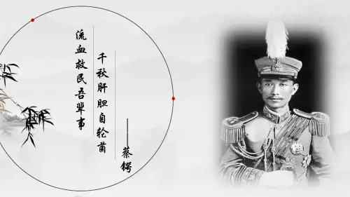 中国近代史人物之蔡锷
